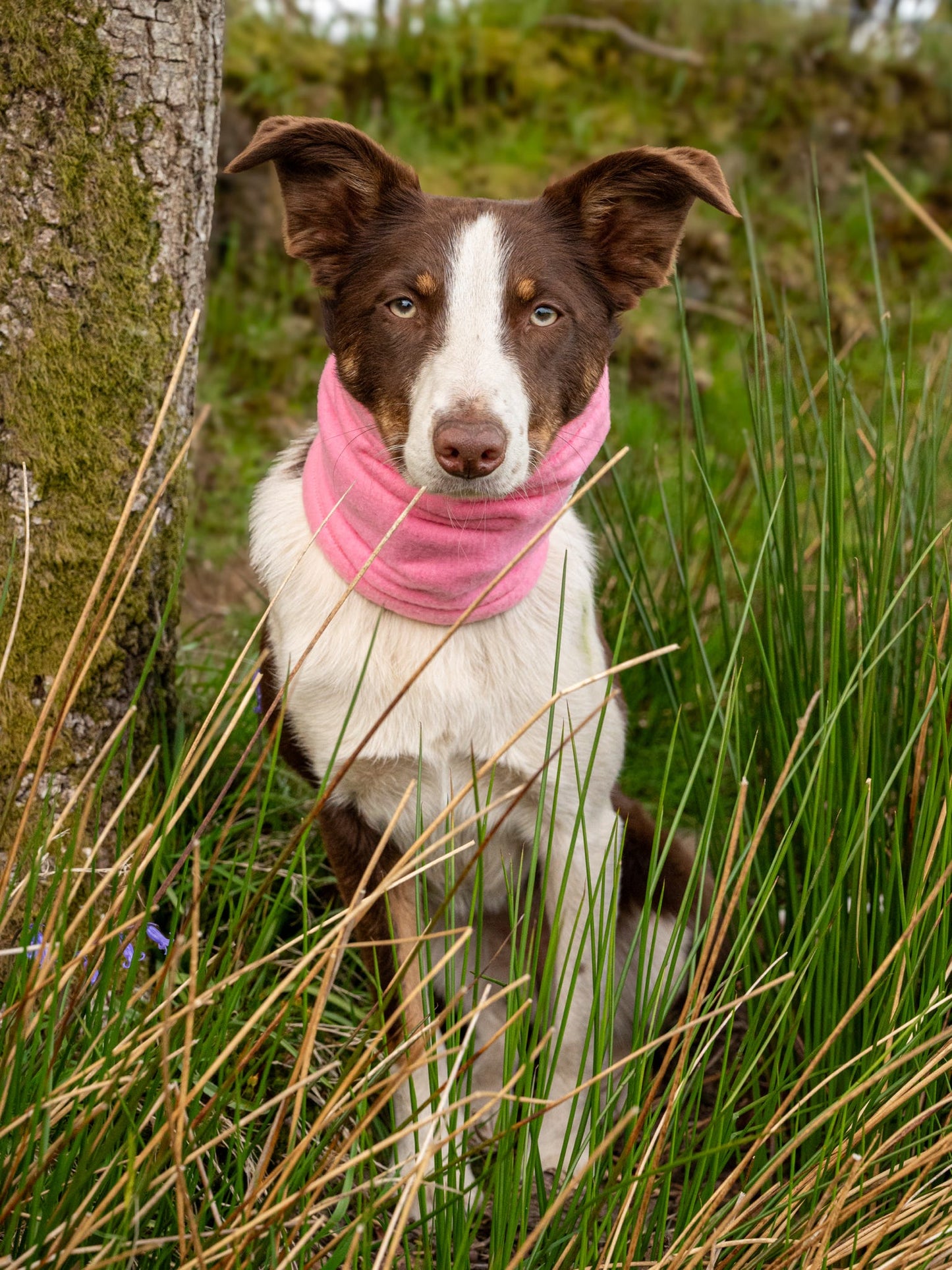 Pink snood