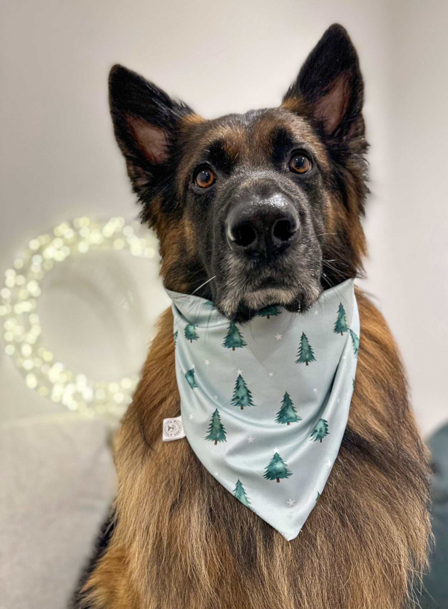 Santas little helpers