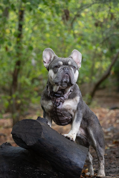 TrailBound™ Harness - Hazel Hollow