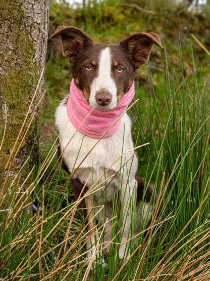 Pink snood