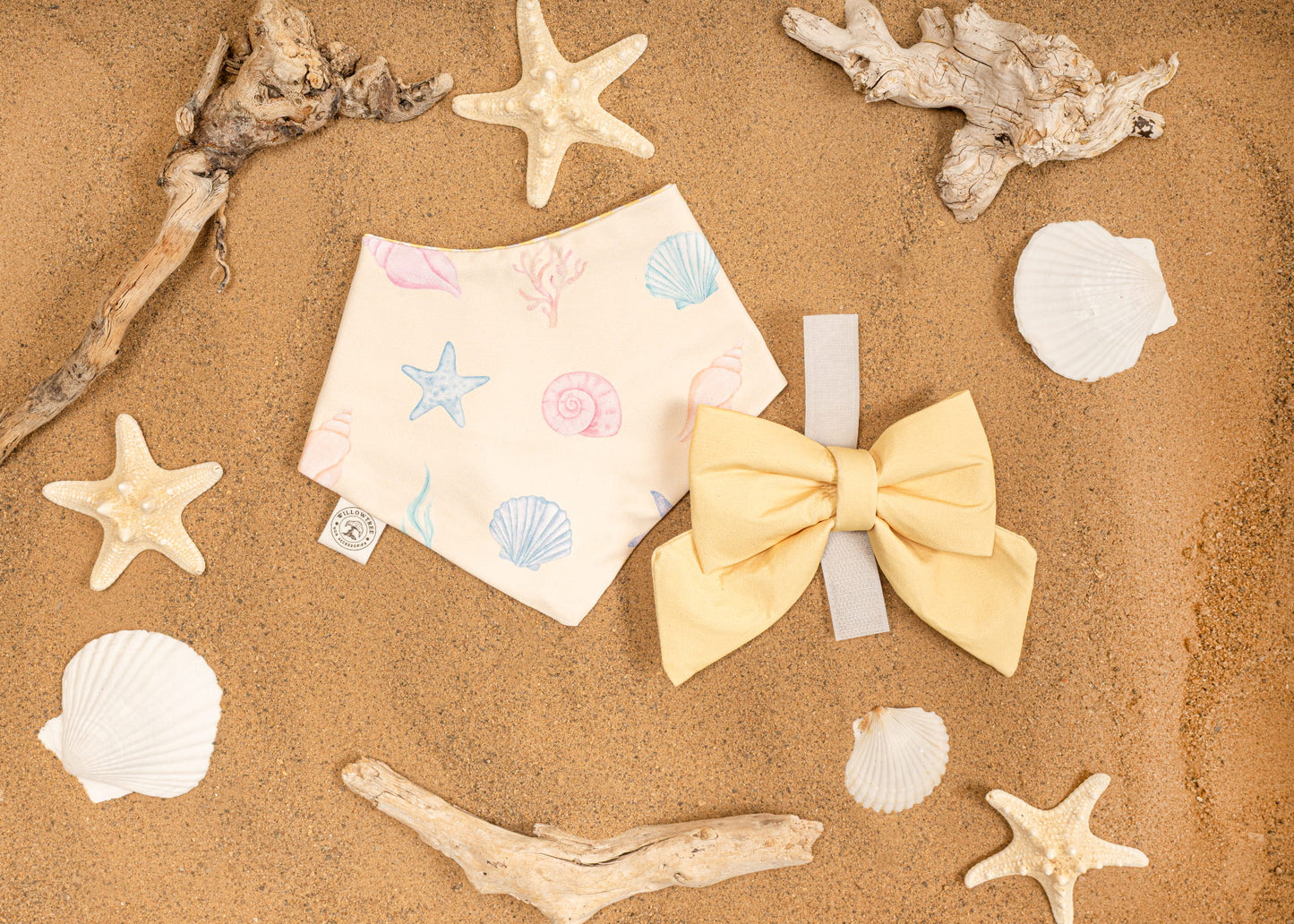 Costal Treasures