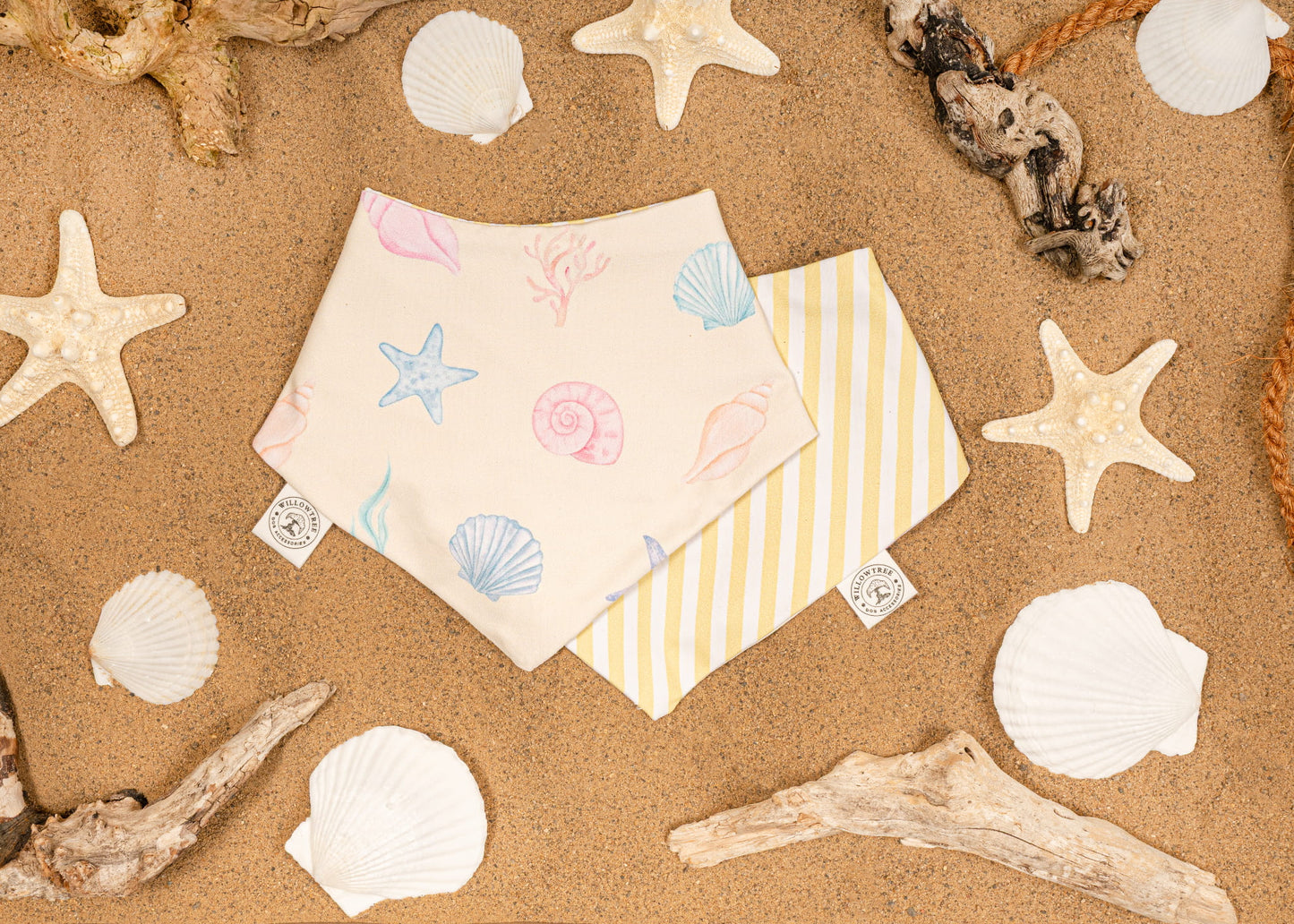 Costal Treasures