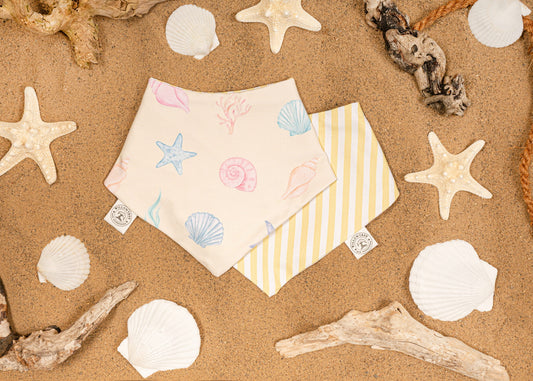 Costal Treasures