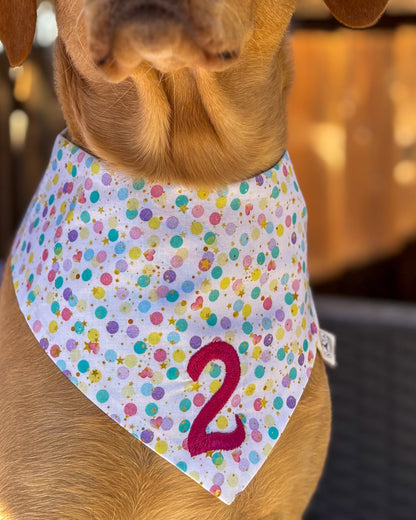 Custom embroidered bandana