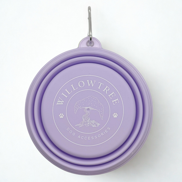 Adventure bowl - Purple