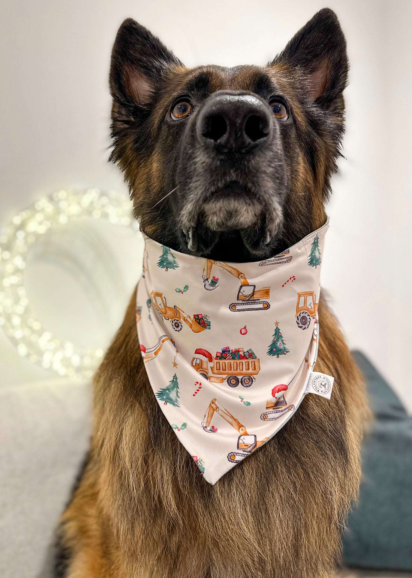 Santas little helpers