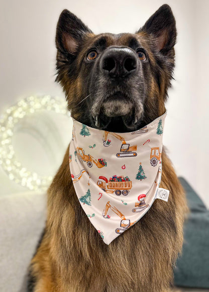 Santas little helpers