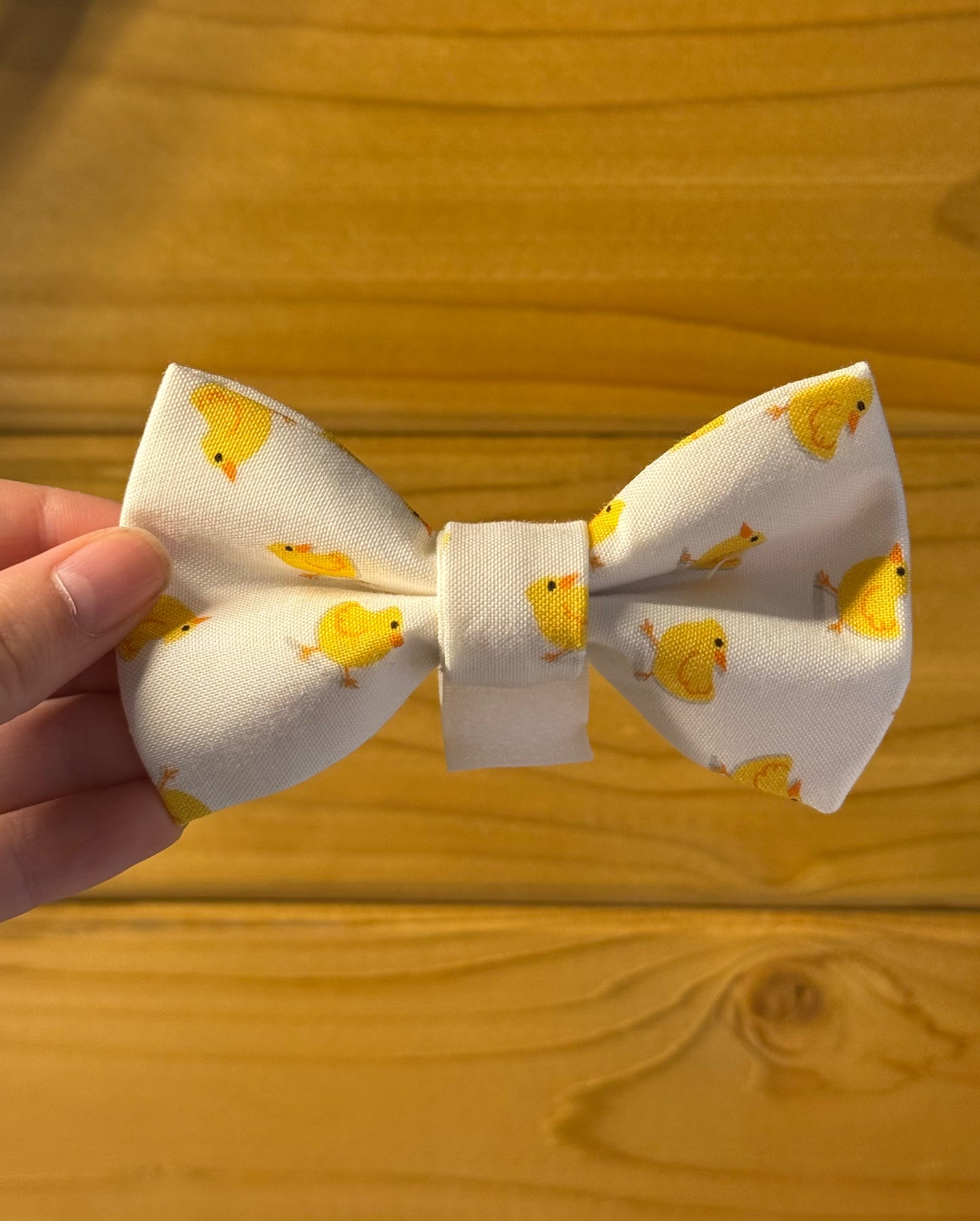Fuzzy chicks bow tie