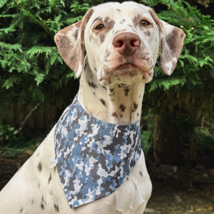 Canine camo