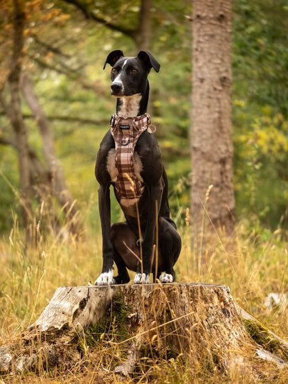 TrailBound™ Harness - Hazel Hollow
