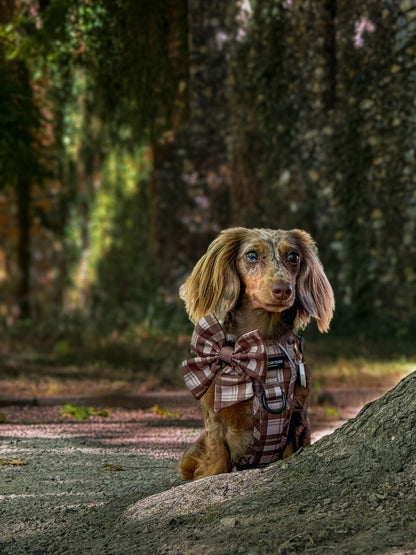 TrailBound™ Harness - Hazel Hollow