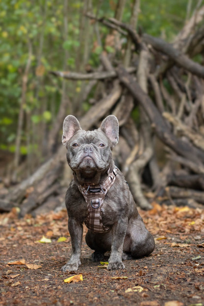 TrailBound™ Harness - Hazel Hollow