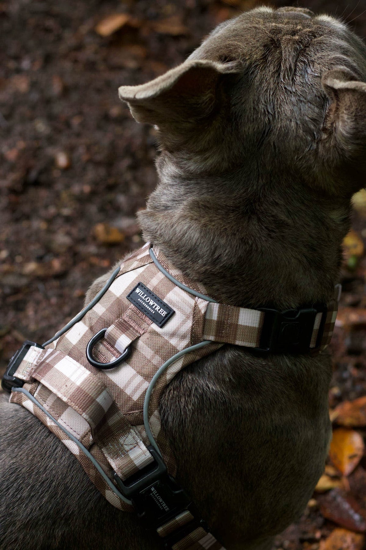 TrailBound™ Harness - Hazel Hollow