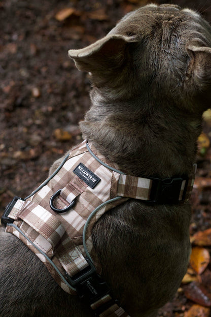 TrailBound™ Harness - Hazel Hollow