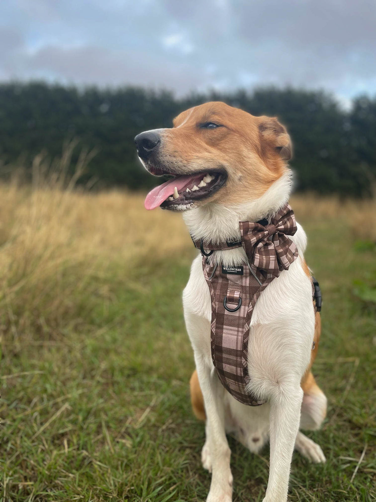 TrailBound™ Harness - Hazel Hollow