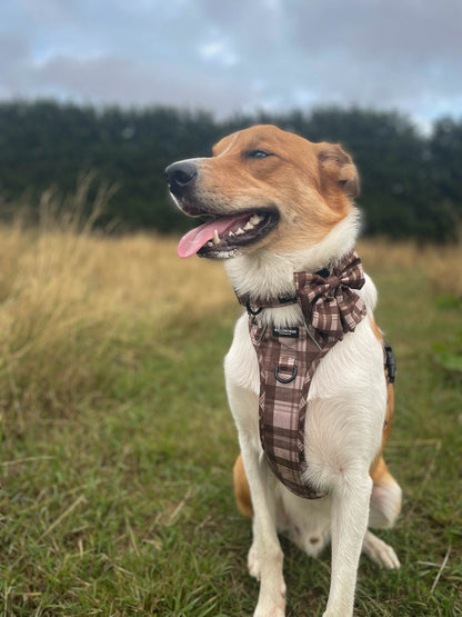 TrailBound™ Harness - Hazel Hollow