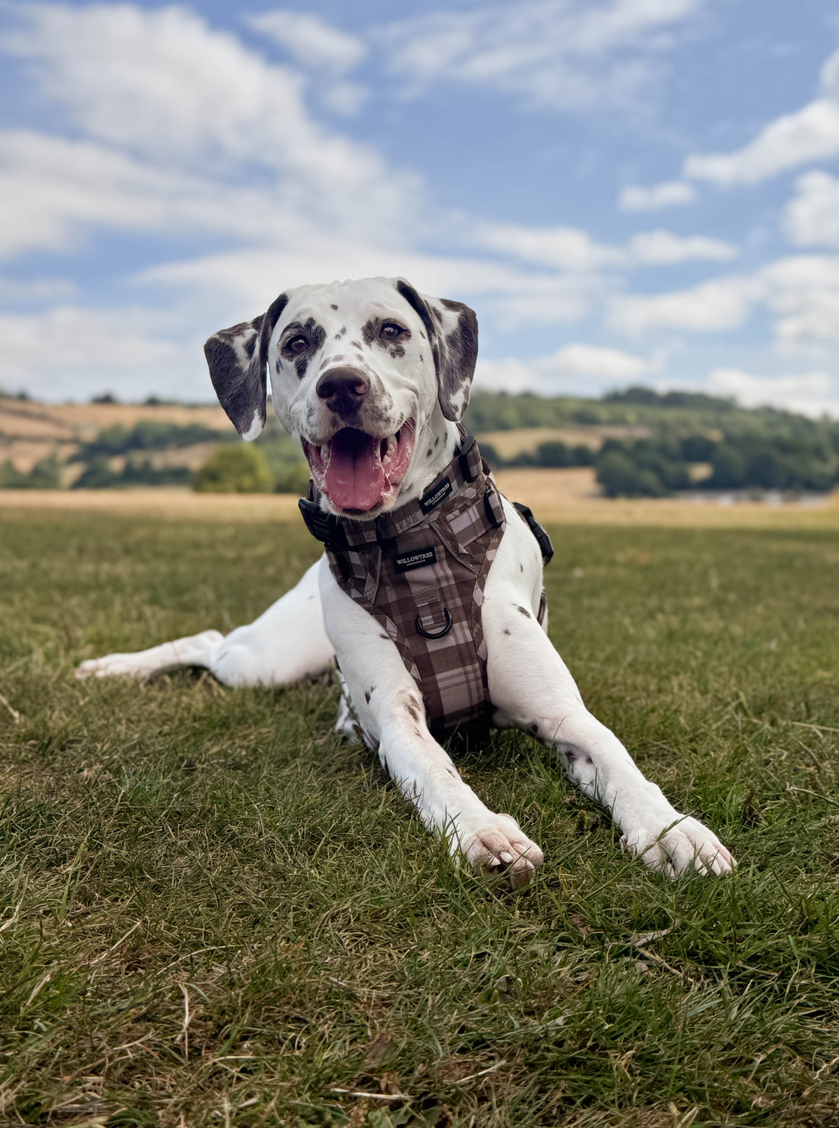 TrailBound™ Harness - Hazel Hollow