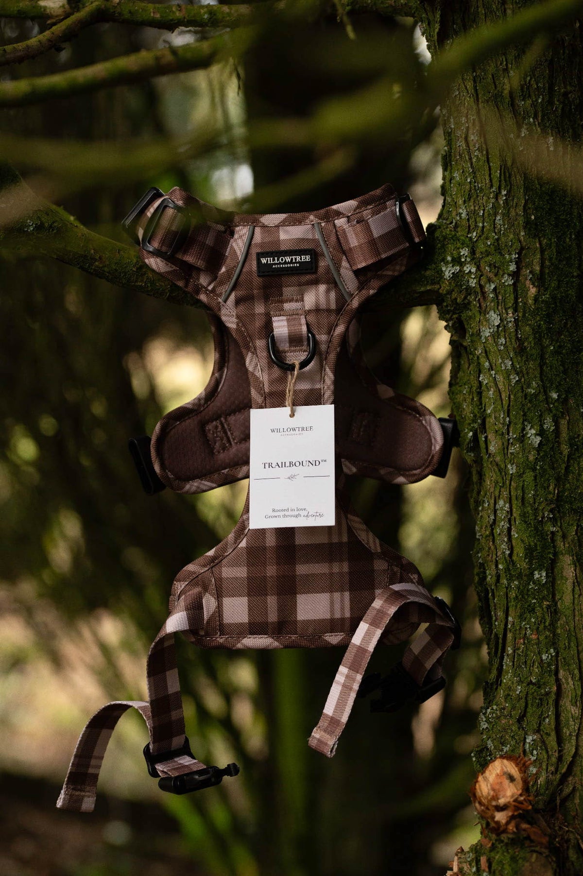 TrailBound™ Harness - Hazel Hollow