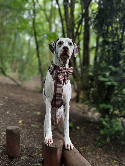 TrailBound™ Harness - Hazel Hollow